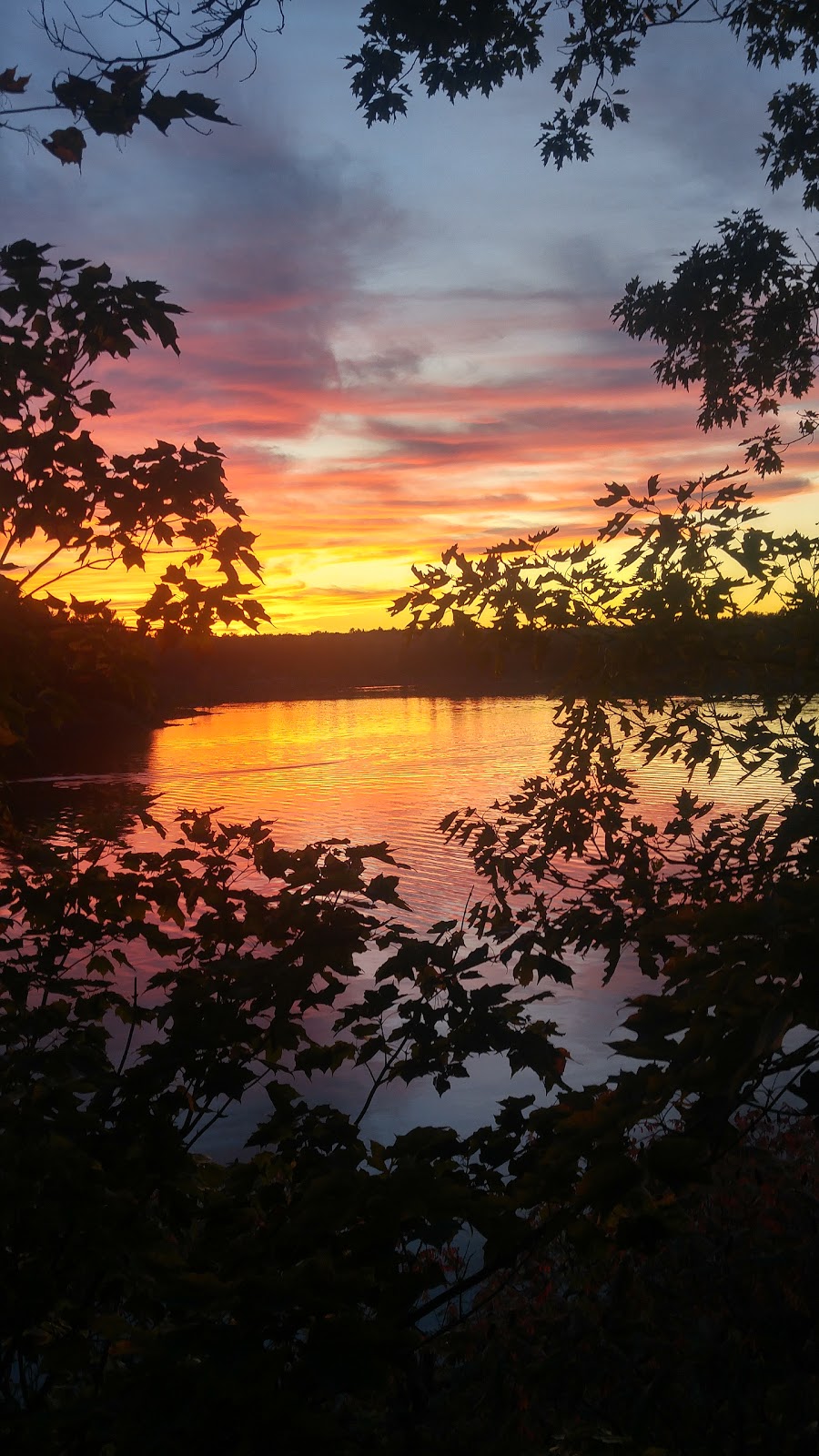 Picnic Island, South Gibson Lake | Georgian Bay, ON P0E 1G0, Canada