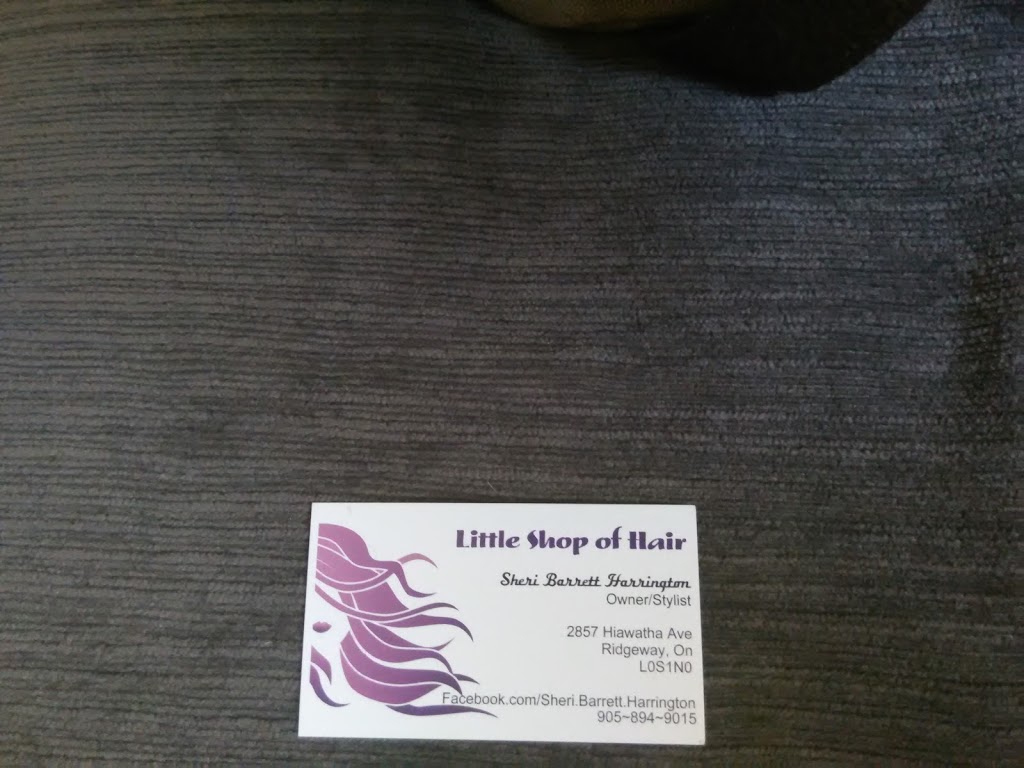 Little Shop of Hair | 2857 Hiawatha Ave, Ridgeway, ON L0S 1N0, Canada | Phone: (905) 894-9015