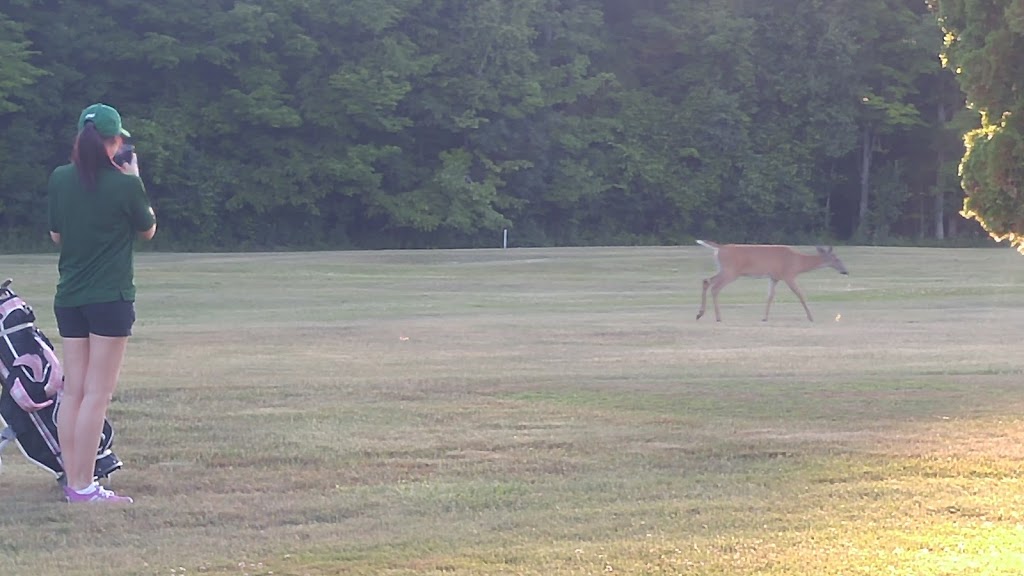 Lakeview House Golf Course | 2051 Metro Rd N, Jacksons Point, ON L0E 1L0, Canada | Phone: (905) 722-6622