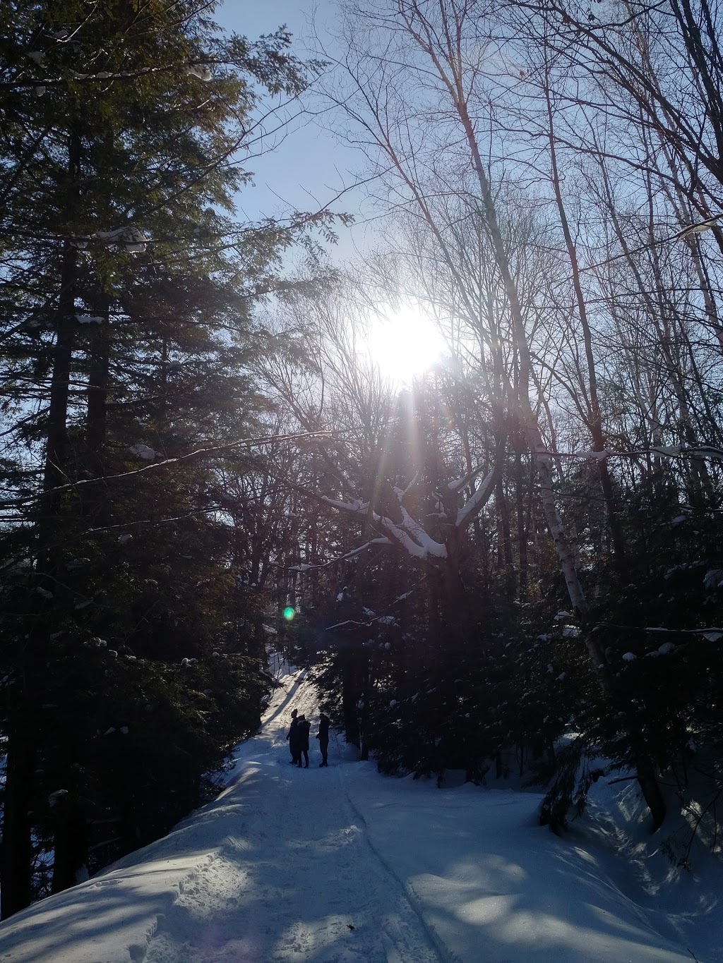 First Lake Beach and Boat Launch | First Lake Beach and Boat Launch, 95 Blackstone Crane Lake Rd, Parry Sound, ON P2A 2W8, Canada | Phone: (705) 732-4300