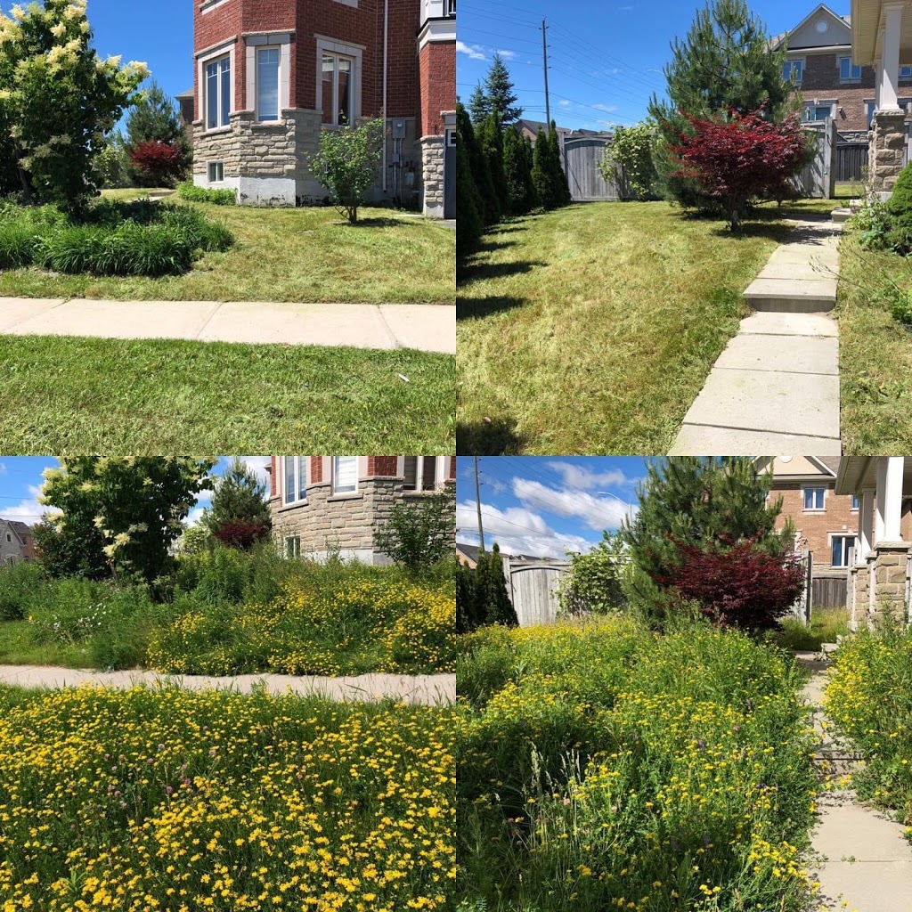 DY Lawn Maintenance Ltd. | 274 Line 9 S, Hawkestone, ON L0L 1T0, Canada | Phone: (705) 627-5723