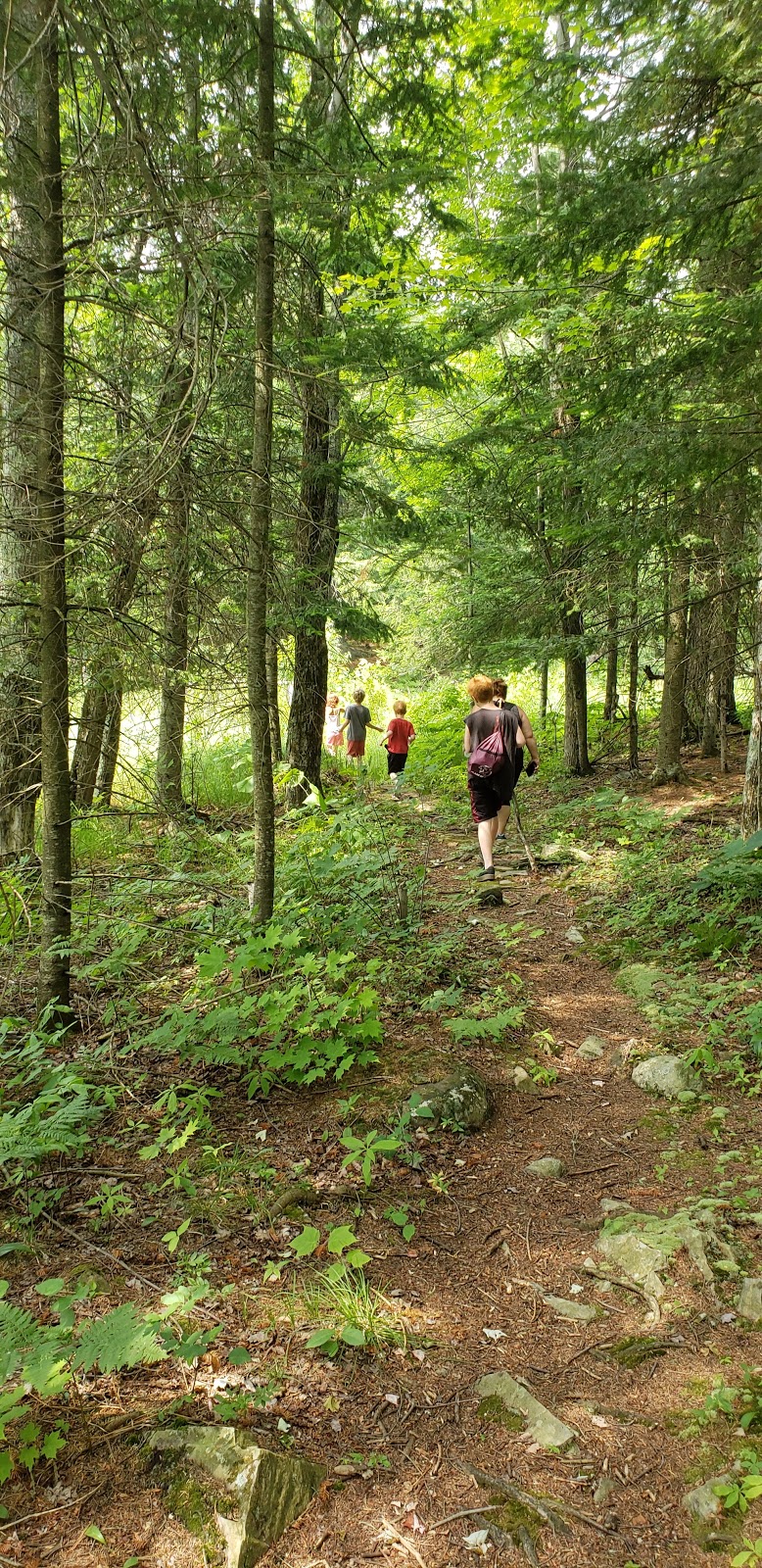 The Gulf Unique Area | Mooers Forks, NY 12959, USA