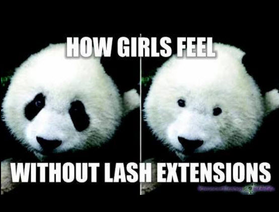 Sarahs Lash Lounge - Eyelash Extensions Brentwood Bay | 1570 Mchattie Rd, Brentwood Bay, BC V8M 1X1, Canada | Phone: (250) 883-5050