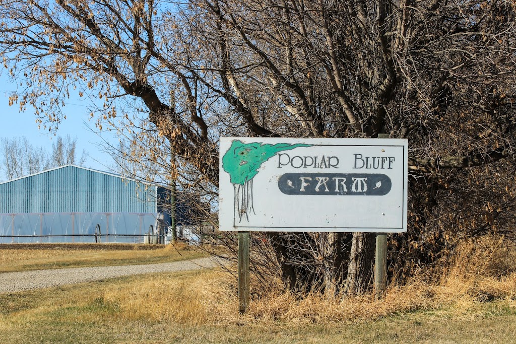 Poplar Bluff Organics | #253028, Township Rd 230, AB T1P 0T2, Canada | Phone: (403) 934-5400