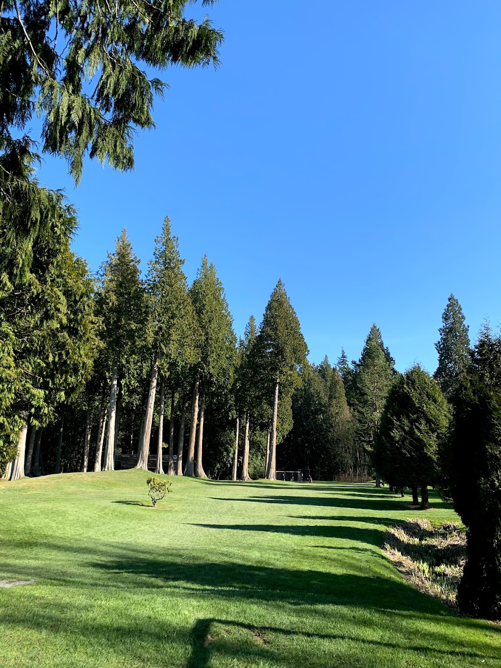 Meridian Hills Golf Par 3 | V3Z 9R8, 1054 168 St, Surrey, BC V3S 9R8, Canada | Phone: (604) 541-1213