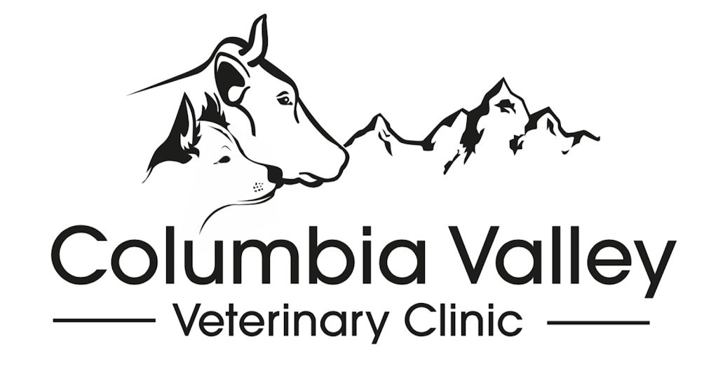 Columbia Valley Veterinary Clinic | 7961 93/95 Highway, Canal Flats, BC V0B 1B0, Canada | Phone: (778) 646-2114