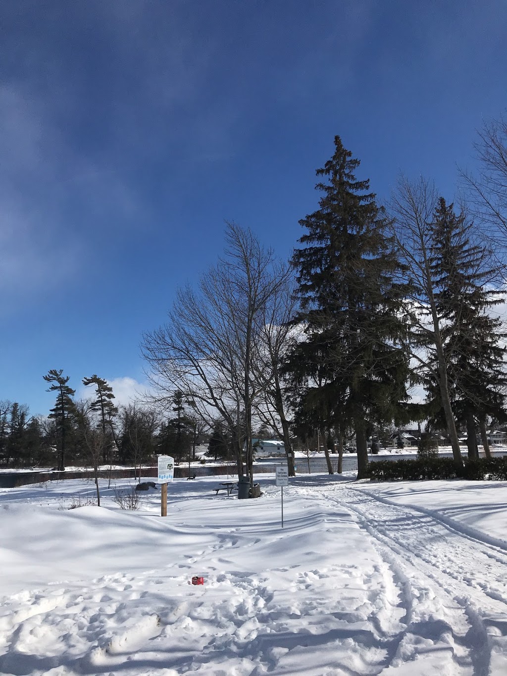 Lakefield Beach and Playground | 64 Hague Blvd, Lakefield, ON K0L 2H0, Canada | Phone: (705) 292-9507