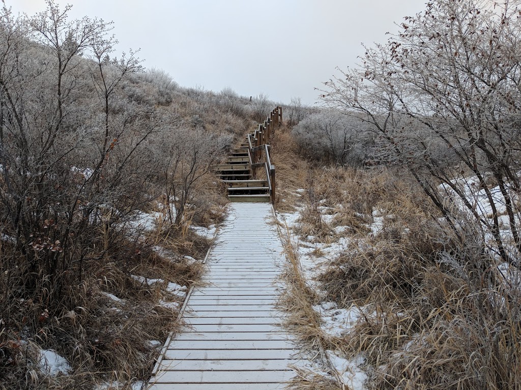 Silver Springs Boardwalk | Bow River Pathway, Calgary, AB T3B 3P5, Canada