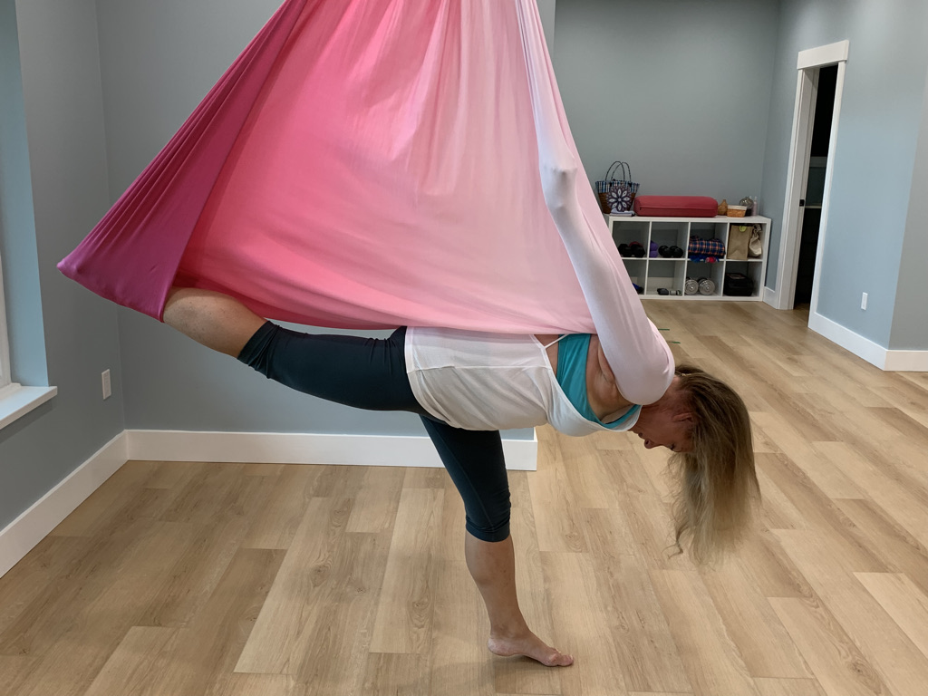 elevateaerialyoga.gardenbay | 13279 Pender Landing Rd, Garden Bay, BC V0N 1S1, Canada | Phone: (604) 946-6161