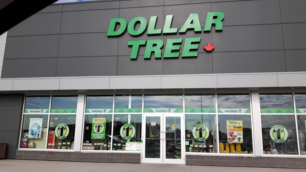 Dollar Tree | 4404 17 St NW, Edmonton, AB T6T 0C1, Canada | Phone: (780) 463-6937