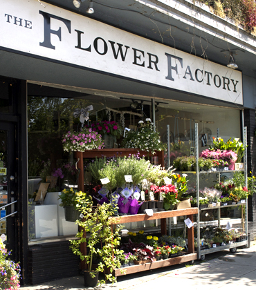 Flower Factory | 4285 Main St, Vancouver, BC V5V 3P8, Canada | Phone: (604) 871-1008