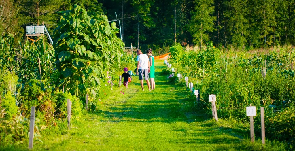 Riverside South Community Garden | Spratt Rd, Gloucester, ON K4M 0E2, Canada | Phone: (613) 822-3079