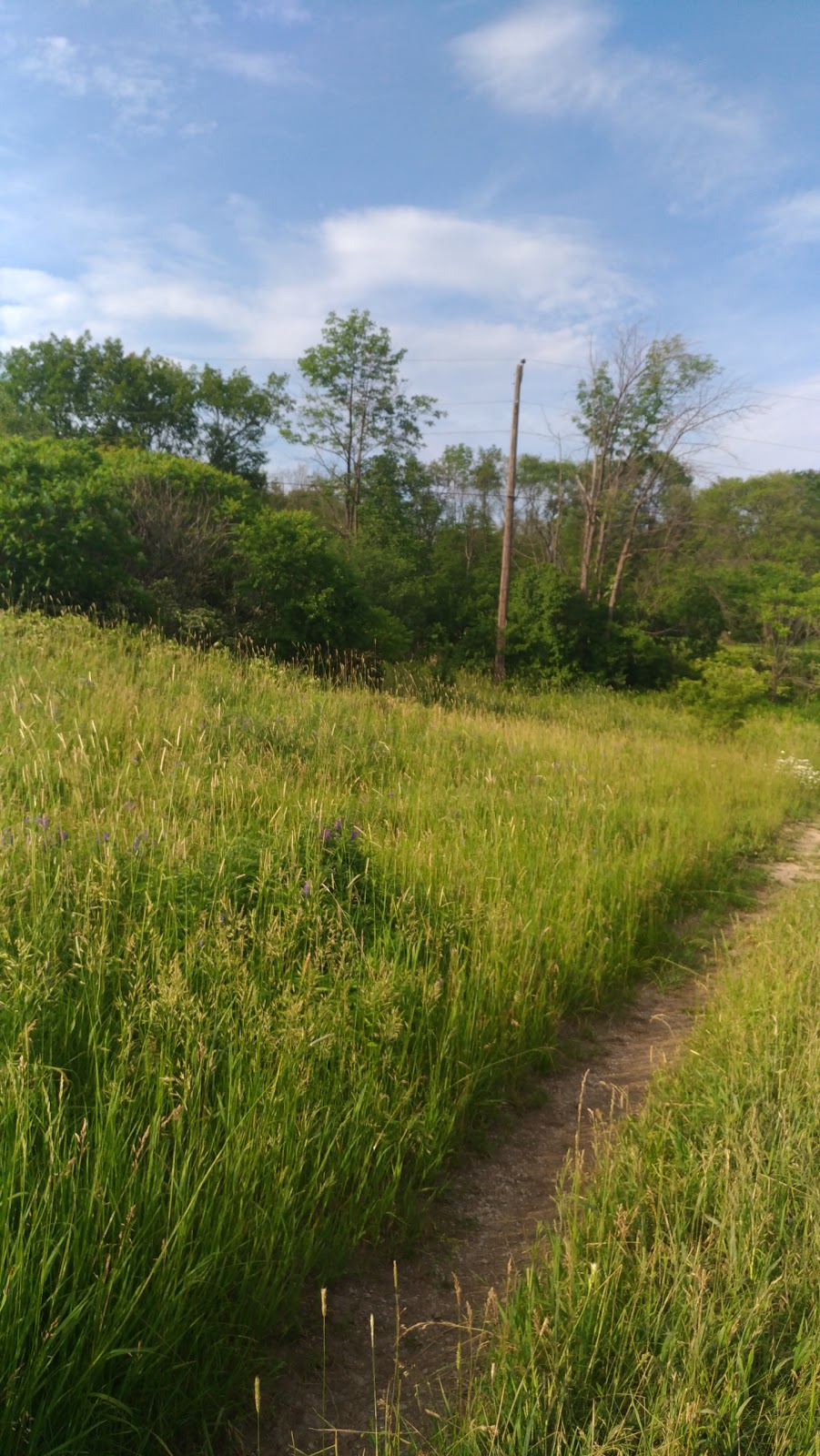 Eileen John Holland Nature Sanctuary | 1388 Old York Rd, Burlington, ON L7P 4Y6, Canada