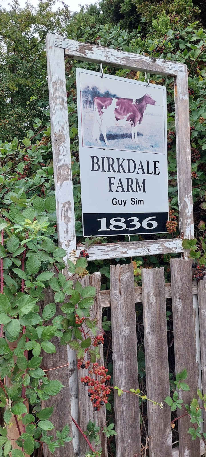 Birkdale Farm | 1836 Guthrie Rd, Comox, BC V9M 3X7, Canada | Phone: (250) 339-6985