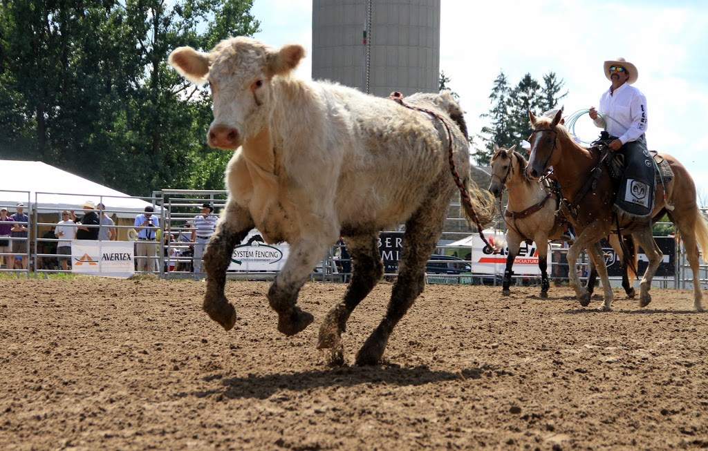 Grand Valley Agricultural Society | 60 Main St N, Grand Valley, ON L9W 5S7, Canada | Phone: (226) 979-3724