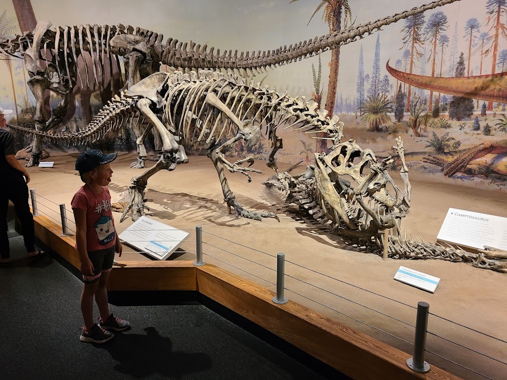 Royal Tyrrell Museum | 1500 N Dinosaur Trail, Drumheller, AB T0J 0Y0, Canada | Phone: (403) 823-7707