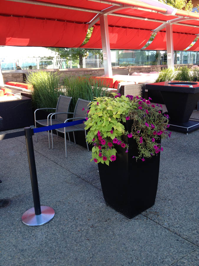 Greenville Planters | 1295 Kamato Rd, Mississauga, ON L4W 2M2, Canada | Phone: (905) 361-1368