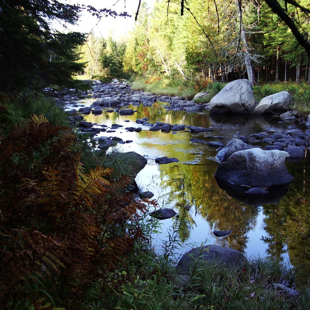 Les kayaks de La Rivière Sauvage | 345 Route Dostie, Saint-Romain, QC G0Y 1L0, Canada | Phone: (418) 486-2100