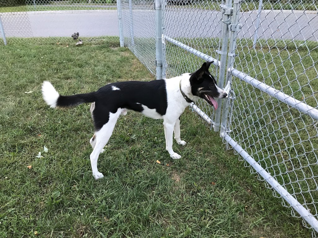 Town of Île-Perrot - Dog Park | Coin Montée Sagala et 9e Avenue, LÎle-Perrot, QC J7V 3G1, Canada | Phone: (514) 453-1751