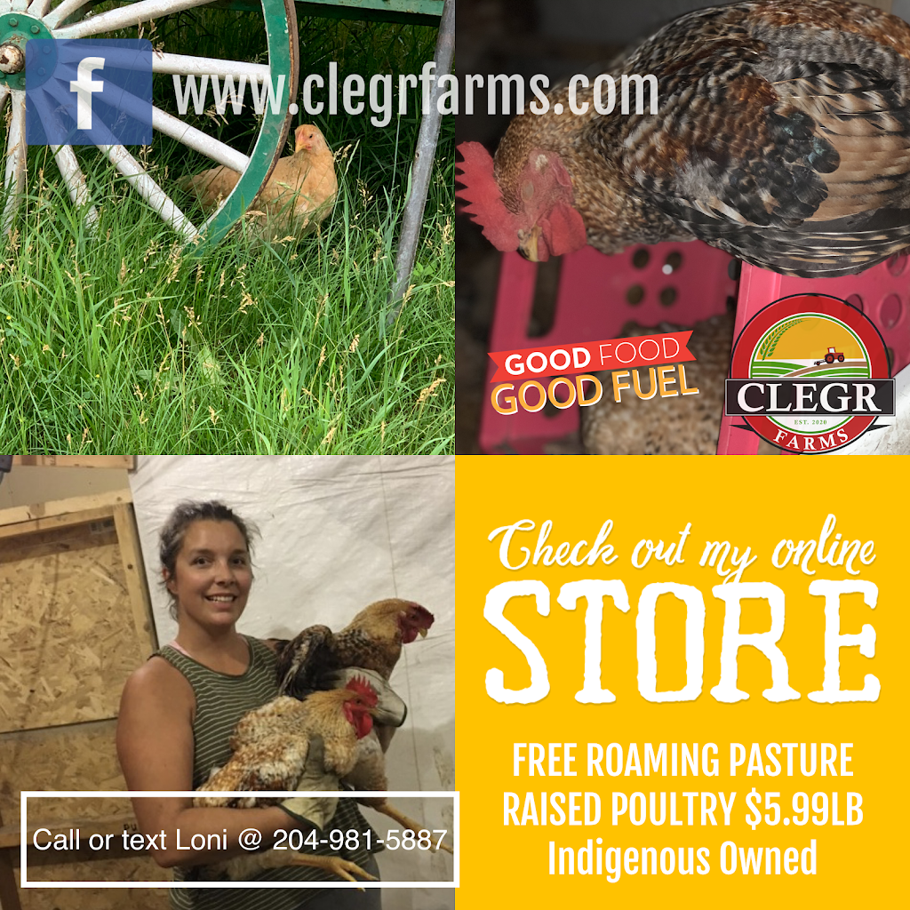 CLEGR FARMS | 87052 Rd 12 W, Lake Francis, MB R0C 1T0, Canada | Phone: (204) 981-5887