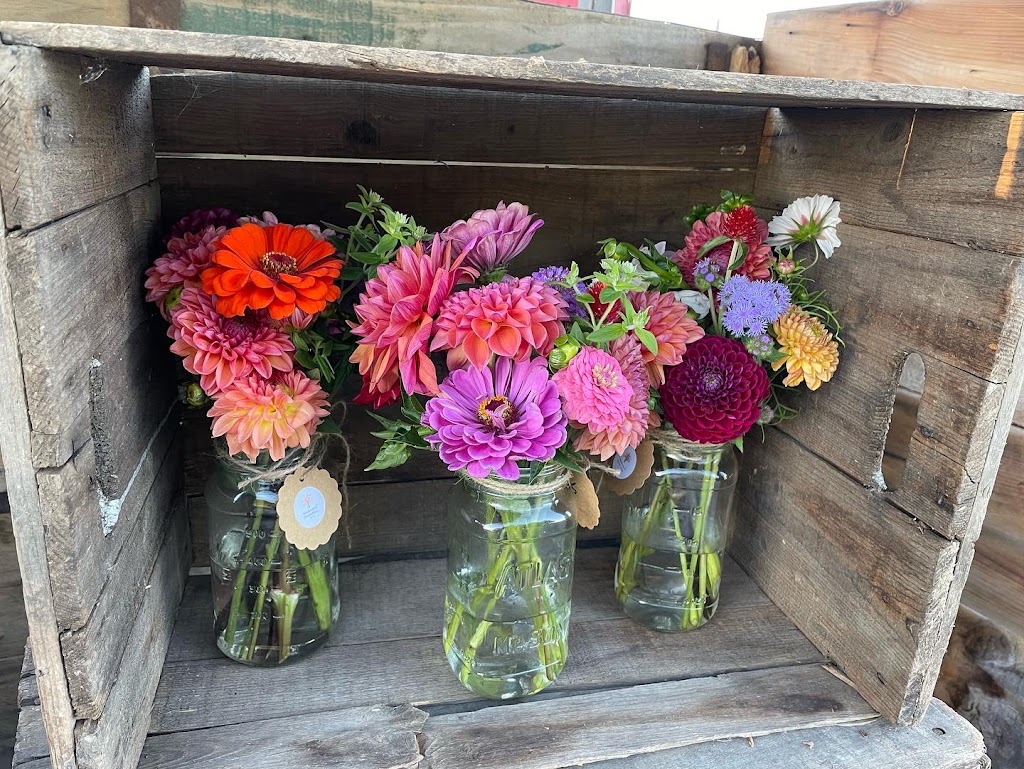 Meadowlark Flower Farm | 3059 Durham Regional Hwy 2, Clarington, ON L1C 3K5, Canada | Phone: (905) 431-6248