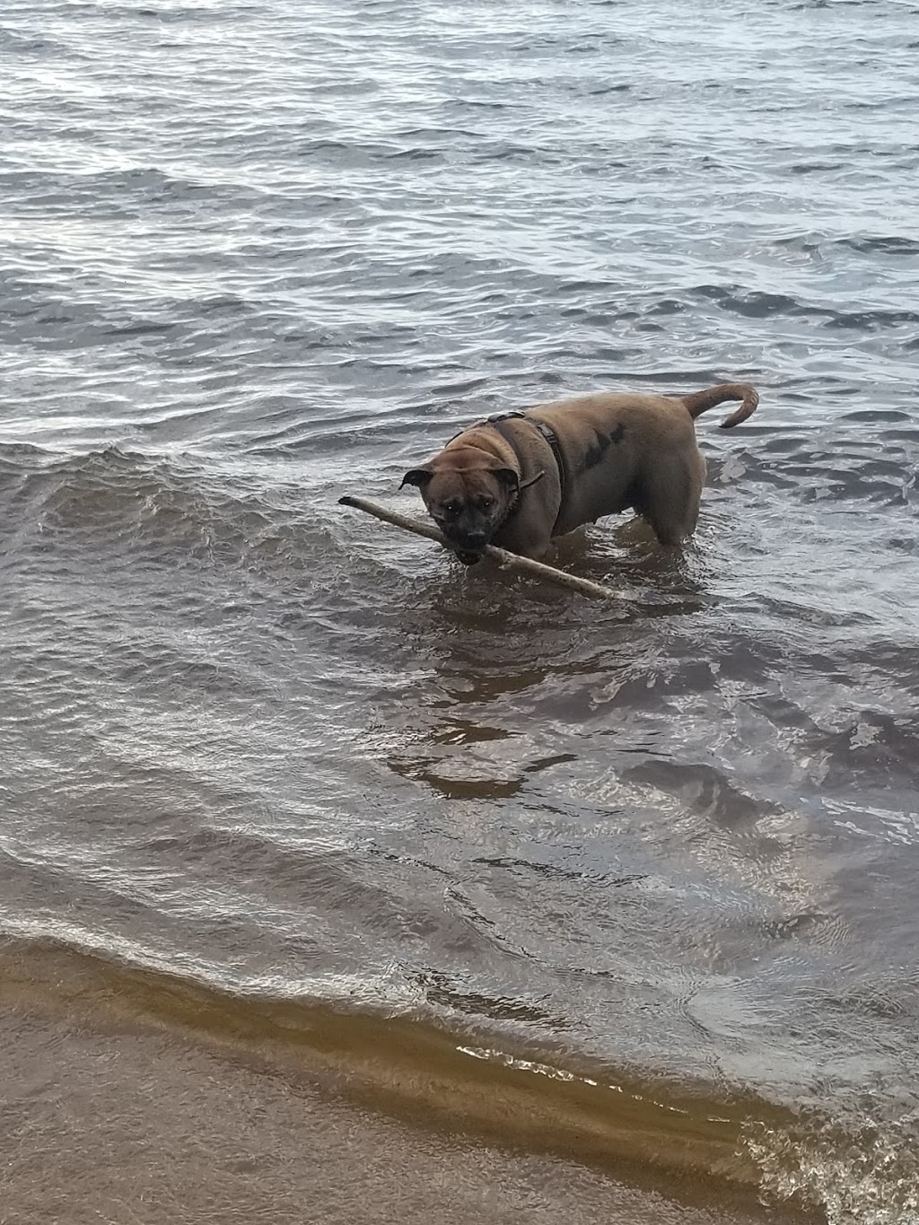 Sandy Beach | Hudson, QC - Oka, QC, Hudson, QC, Canada