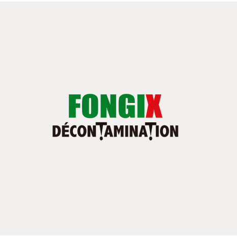 Fongix Expert en vide sanitaire | 149 Rue St Pierre N, Joliette, QC J6E 5Y1, Canada | Phone: (844) 511-5454