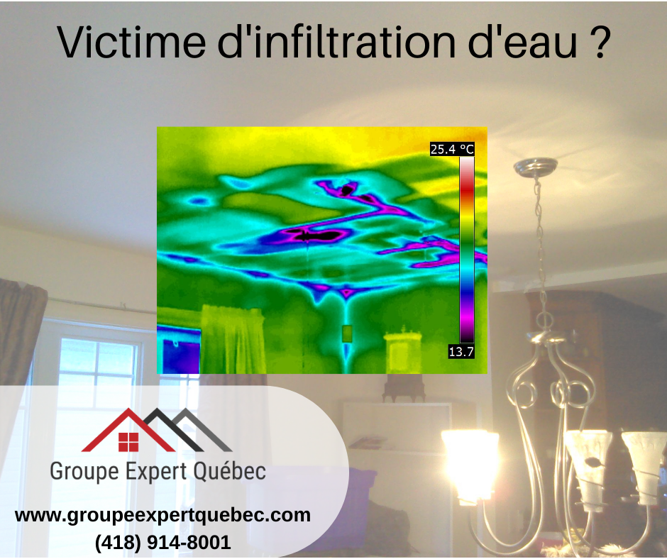 Groupe Expert Québec (Division - Inspection & Investigation) | 673 Rue des Boisés-Dulac, Saint-Joseph-de-Beauce, QC G0S 2V0, Canada | Phone: (418) 914-8001