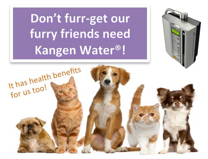 KANGEN WATER DISTRIBUTOR-HYDRATION SPECIALIST ERW-OTTAWA | 46 Locheland Crescent, Nepean, ON K2G 6H1, Canada | Phone: (613) 261-1489