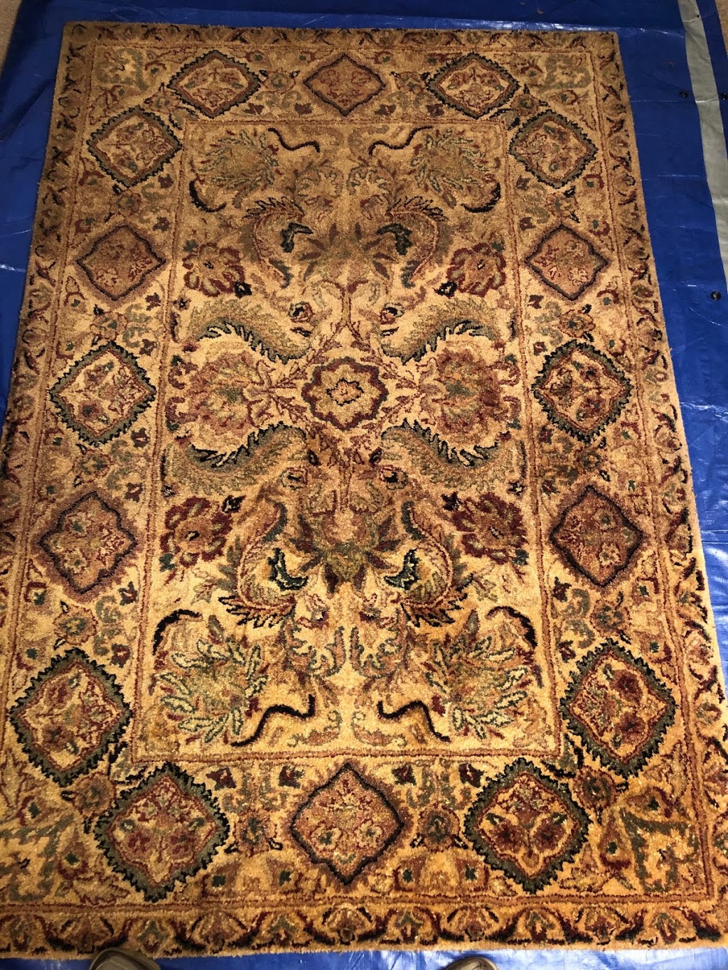 Custom Colour Carpets and Rugs | 21 Manley Crescent, Thorold, ON L2V 4K2, Canada | Phone: (519) 318-7717