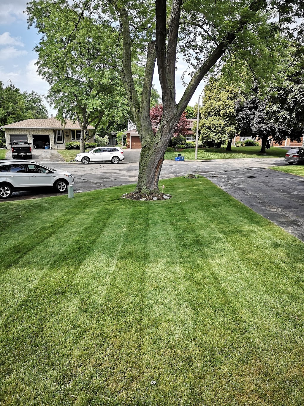 Brantford Lawn Care | 7 Ventnor Ct, Brantford, ON N3R 6L8, Canada | Phone: (519) 774-0765