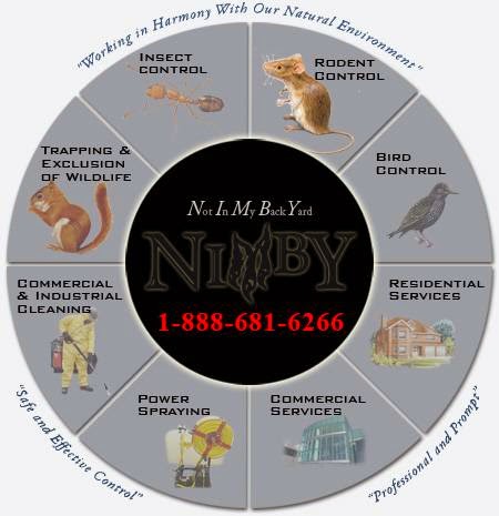 Nimby Pest Management | 47 Wilson St W, Ancaster, ON L9G 1N1, Canada