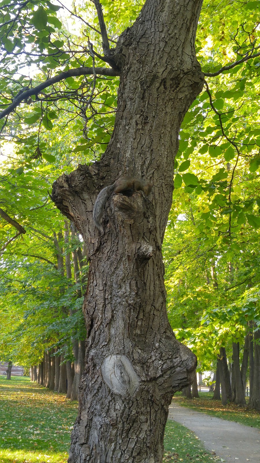 Gellatly Nut Farm Regional Park | 2375 Whitworth Rd, West Kelowna, BC V4T 2K3, Canada | Phone: (250) 763-4918