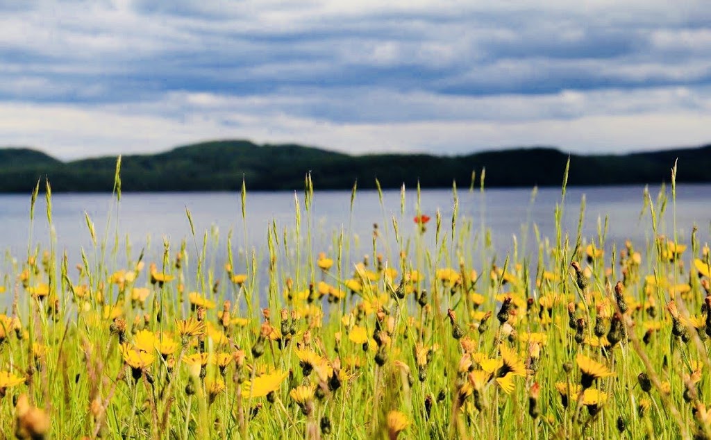 Saint-Maurice Wildlife Reserve | Lac-Normand, Quebec, QC G0X, Canada | Phone: (800) 665-6527