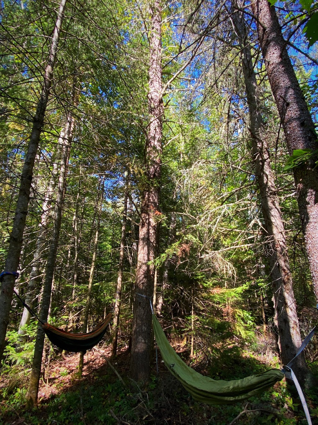 Tourist center Lac-Kénogami | 9000 Rte de Kénogami, Jonquière, QC G7X 0H9, Canada | Phone: (800) 665-6527