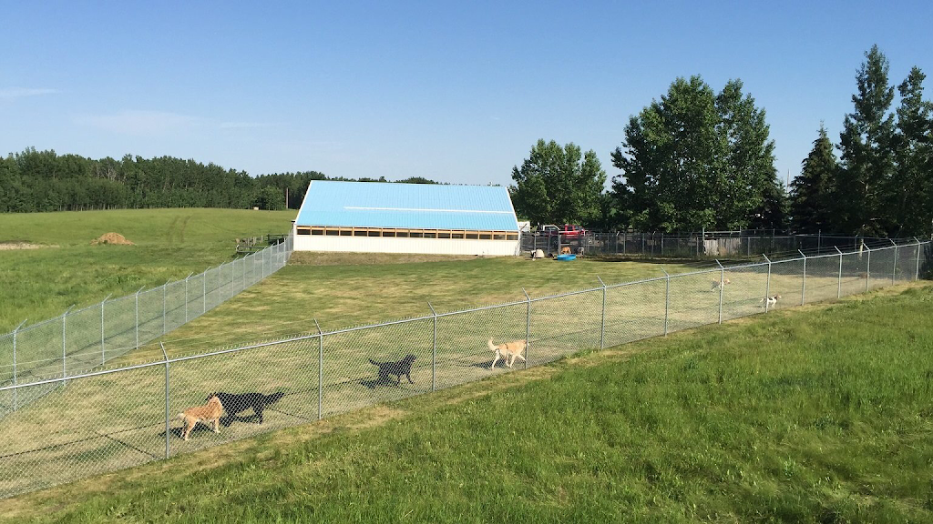 Wolfies Pet Resort | 3578 Township Rd 294, Cremona, AB T0M 0R0, Canada | Phone: (403) 337-1996