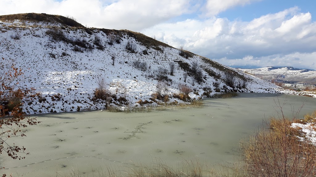 McKergow Meadows | 11503 Middleton Mountain Trail - McKergow Meadows, Vernon, BC V1B 2Z3, Canada