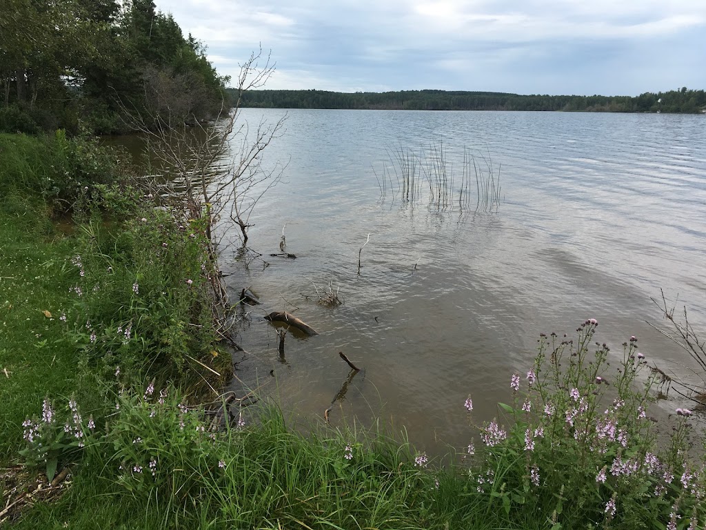 Thunder Lake Provincial Park | Tiger Lily, AB T0G 2G0, Canada | Phone: (780) 674-4051