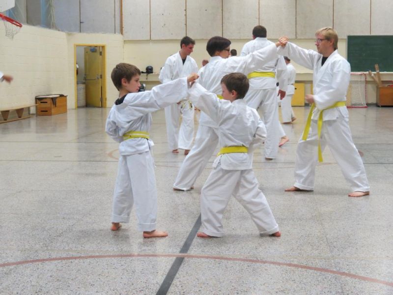 Karaté Chito-Ryu Drummondville, Gymnase École Laquarelle | 1140 Rue Saint Edgar, Drummondville, QC J2B 2W1, Canada | Phone: (819) 850-6071