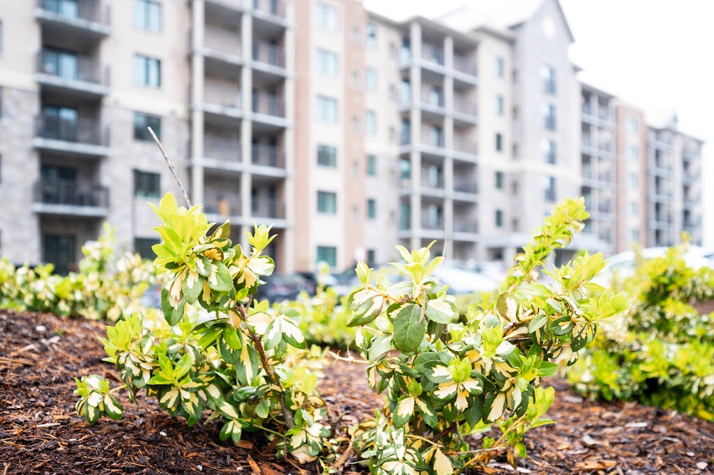 Paakkonen Photo | Real Estate Photography | 4 Cobblestone St, Kitchener, ON N2P 1T7, Canada | Phone: (519) 502-1119