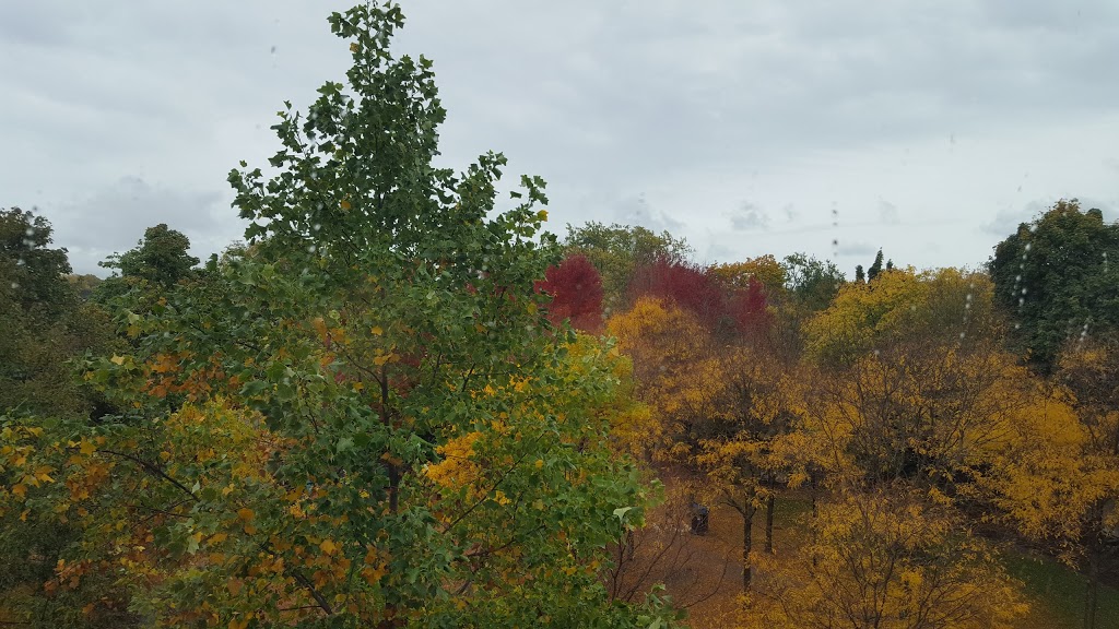 Pricefield Road Playground | 50 Pricefield Rd, Toronto, ON M4W, Canada