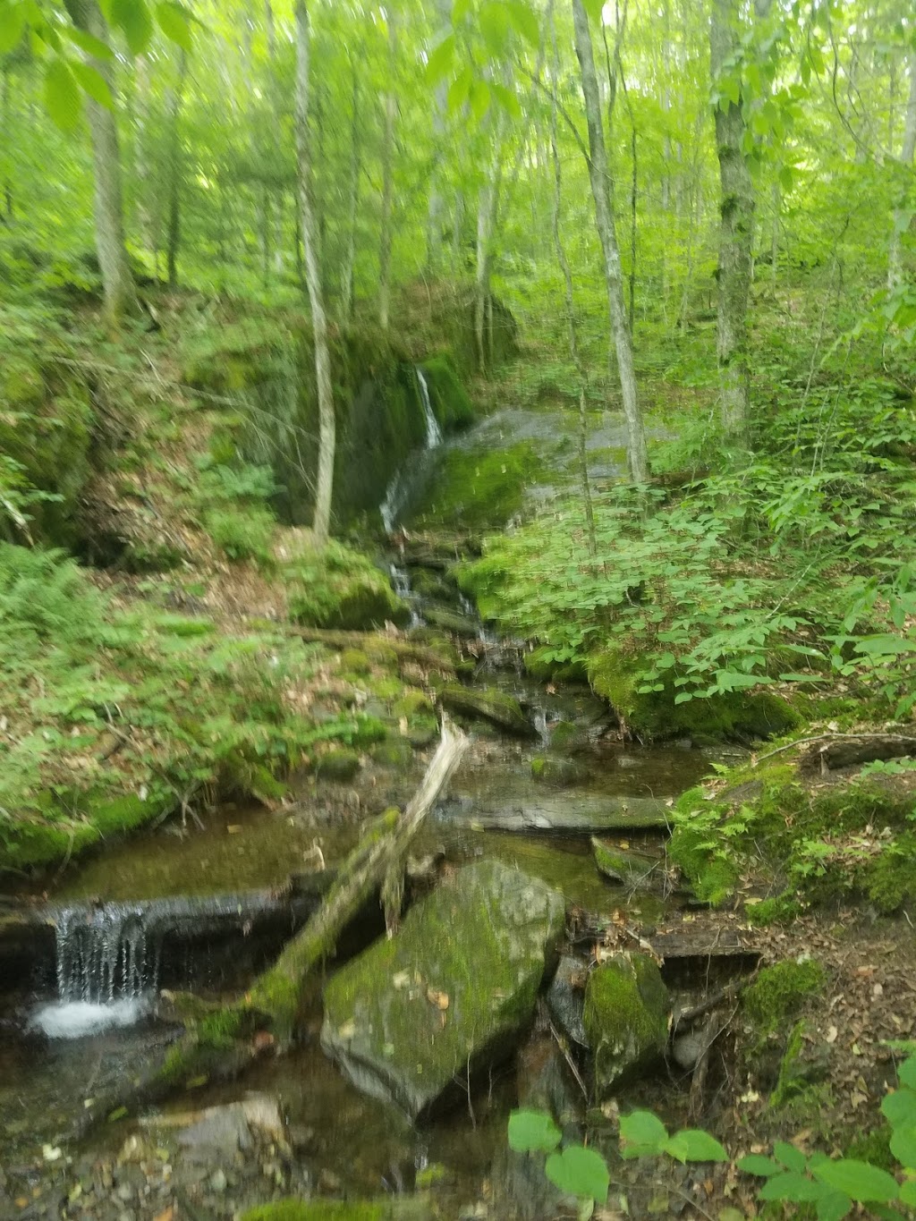 Devils Gulch | Long Trail, Eden, VT 05652, USA