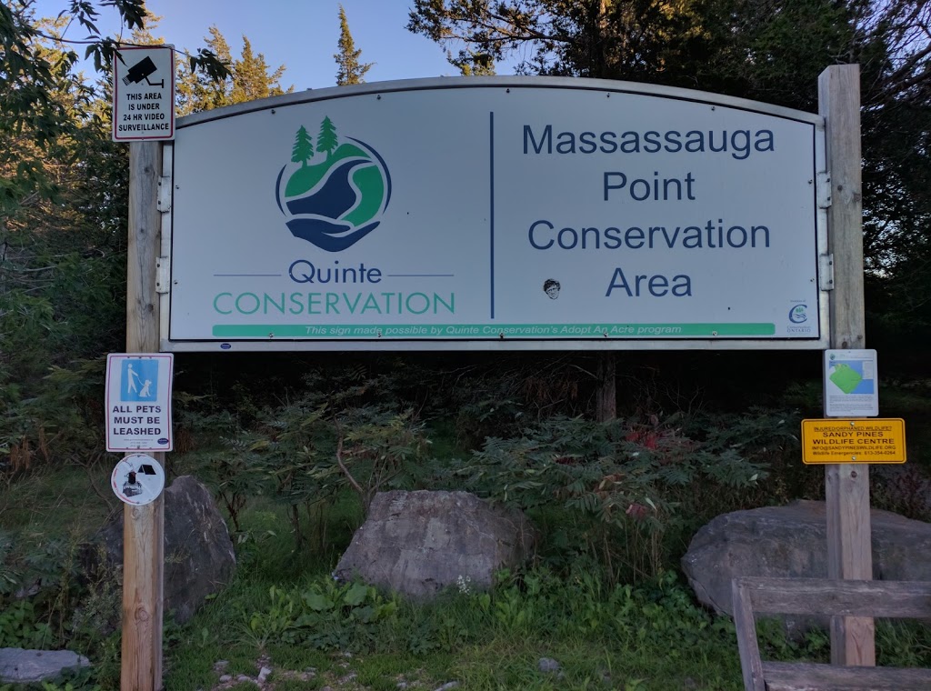 Massassauga Point Conservation Area | Prince Edward, ON K8N 4Z7, Canada | Phone: (613) 968-3434