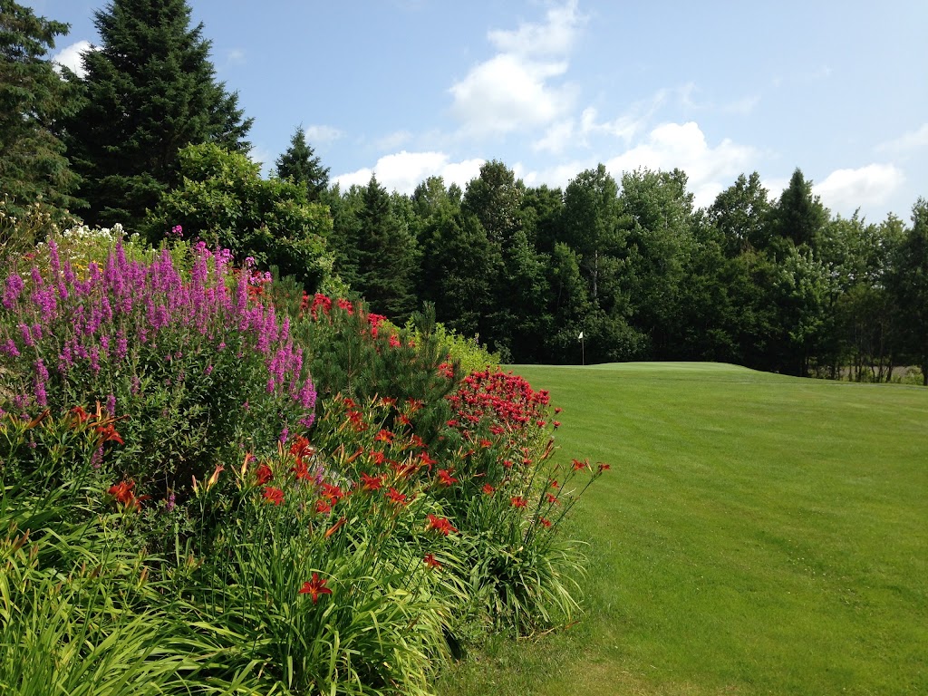 Club de Golf Saint Benjamin | 490 Rue du Lac, Saint-Benjamin, QC G0M 1N0, Canada | Phone: (418) 594-5545