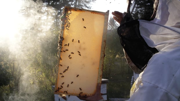 Tugwell Creek Honey Farm & Meadery | 8750 W Coast Rd, Sooke, BC V9Z 1H2, Canada | Phone: (250) 642-1956