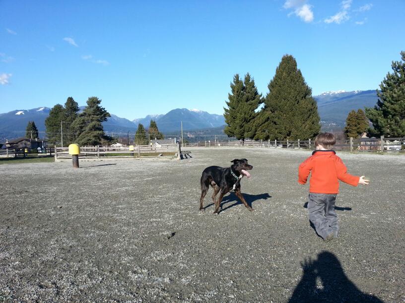 Burnaby Heights Park Off-Leash Enclosure | 416 N Ingleton Ave, Burnaby, BC V5C 1T3, Canada | Phone: (604) 294-7450