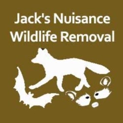 Jacks Nuisance Wildlife Removal | 88 Old Orchard Dr, Williamsville, NY 14221, USA | Phone: (716) 208-5110