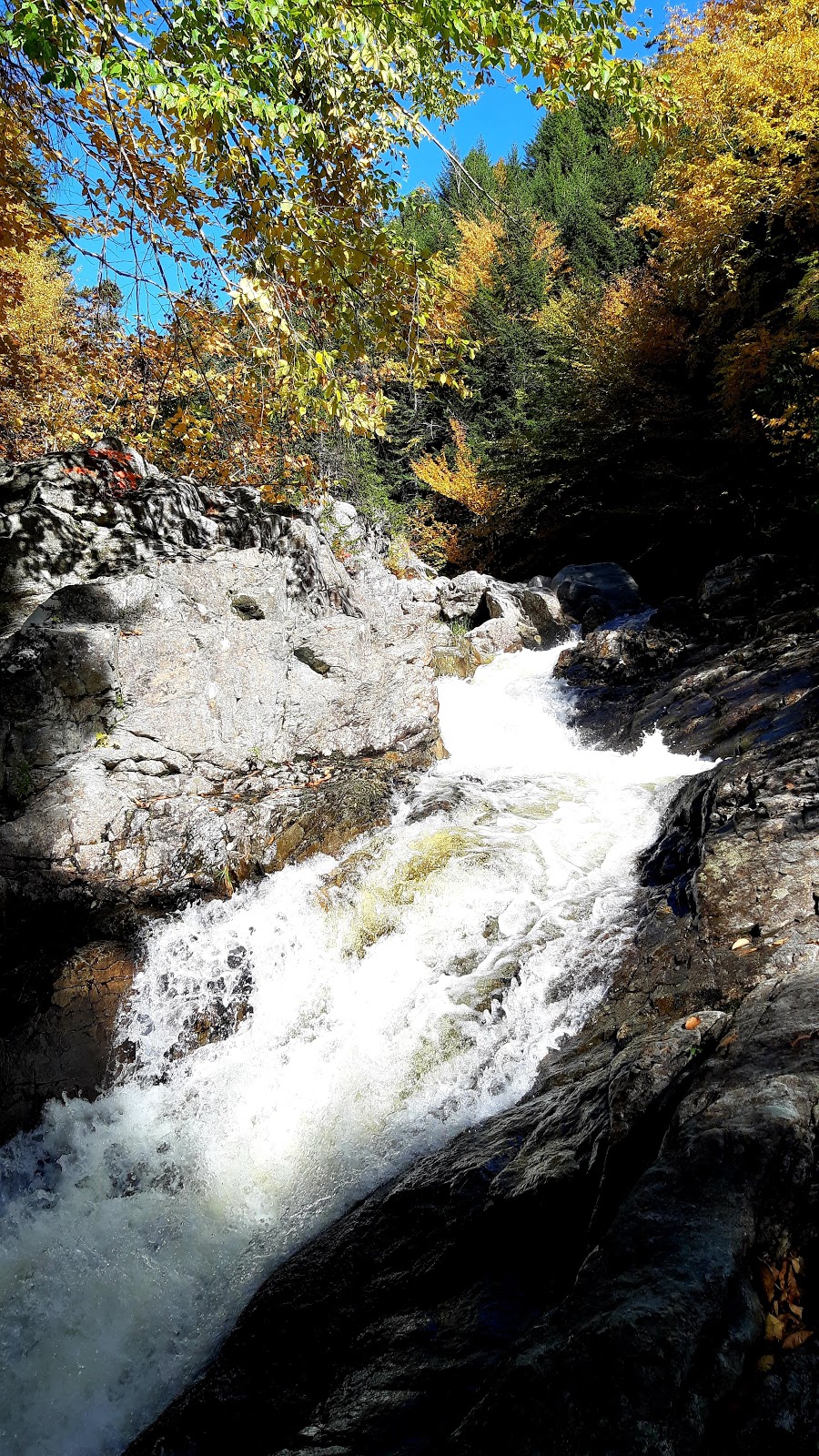 Wolfe River Gorge - UNESCO Fundy Biosphere Reserve | Alma Parish, NB E4H, Canada | Phone: (506) 874-3272
