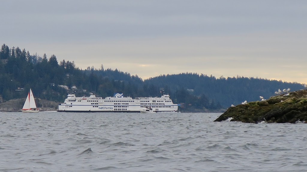 Bowen Island Sea Kayaking | Bowen Island Marina, Bowen Island, BC V0N 1G0, Canada | Phone: (800) 605-2925