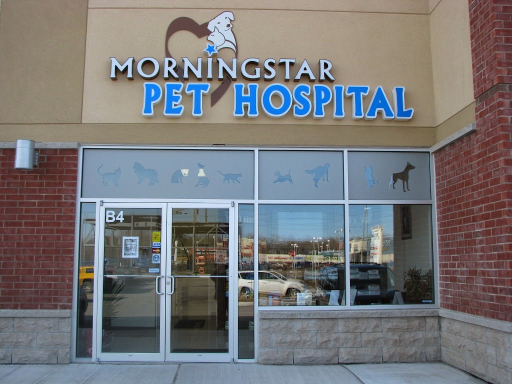 Morningstar Pet Hospital | 670 Taunton Rd E, Whitby, ON L1R 0K6, Canada | Phone: (905) 655-7722